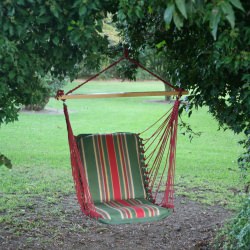 Single Cushioned Swing - Garden