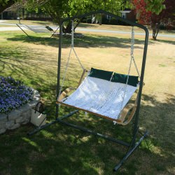 Curved Arm Double Rope Swing