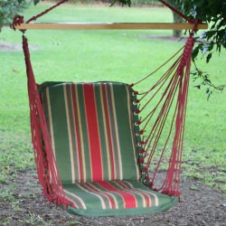 Single Cushioned Swing - Garden
