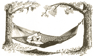 Hammock between 2 trees